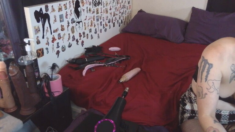 SindraSinner's Streamate show and profile